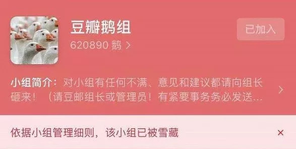 好人阿北,和拧巴的豆瓣